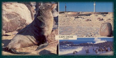 Cape Cross Seal Colony